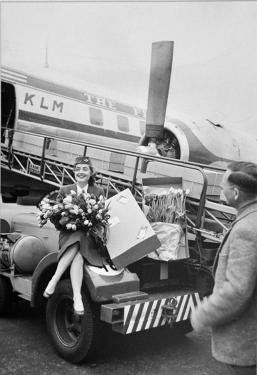 История авиации и авиакомпании KLM